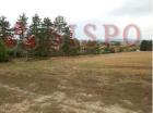 MARSCIANO (PG) FRAZ. SPINA LOTTO 3