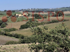 MONTEFALCO (PG) FRAZ. TURRITA LOC. CORTIGNANO E LOC. CAMIANO LOTTO 1